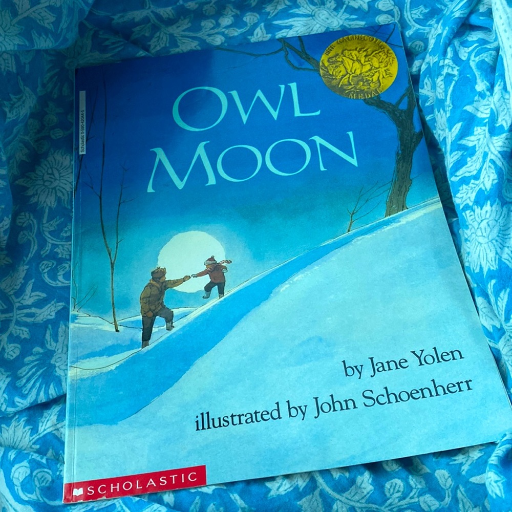 Owl Moon 📖 by Jane Yolen